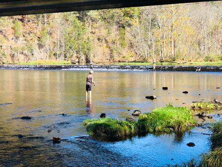 Bristol - Tennessee