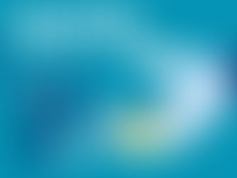 PRIME DE PARTAGE DE LA VALEUR (suite)