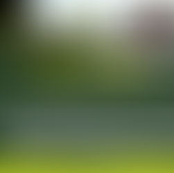 Once a party to a matrimonial dispute dies, the cause of action based on marriage or matrimonial property becomes untenable. Claims must thereafter be pursued through succession proceedings, not civil