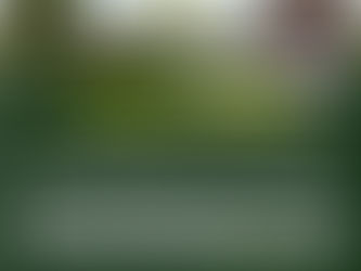 Once a party to a matrimonial dispute dies, the cause of action based on marriage or matrimonial property becomes untenable. Claims must thereafter be pursued through succession proceedings, not civil