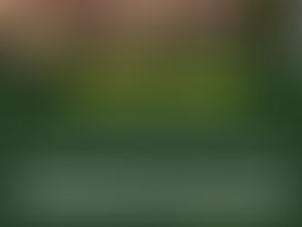 Supreme Court Overturns Four Murder Convictions, Tightens Standards for Eyewitness Evidence Under Moonlight.