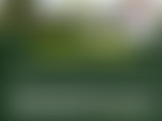 HIGH COURT QUASHES NRM ELECTION TRIBUNAL DECISION IN BUSIKI CONSTITUENCY – REINSTATES APPLICANT AS NRM FLAG BEARER