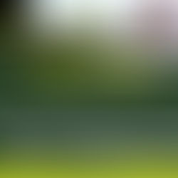 A public institution's internal financial limitations (like dependence on quarterly grants) are generally not a valid defense against a breach of a clear contractual payment term. 