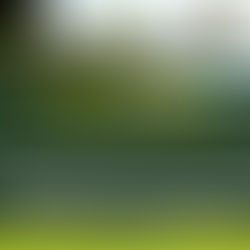 Under Section 256(2) of the Succession Act, Letters of Administration remain valid for two years from the date of grant. There is no need for validation within this period unless they've expired