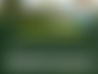 Under Section 256(2) of the Succession Act, Letters of Administration remain valid for two years from the date of grant. There is no need for validation within this period unless they've expired