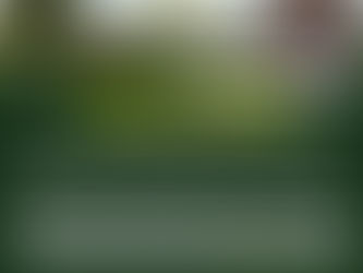 High Court at Kabale Convicts Minors of Murder Based on Motive and Police Canine Tracking