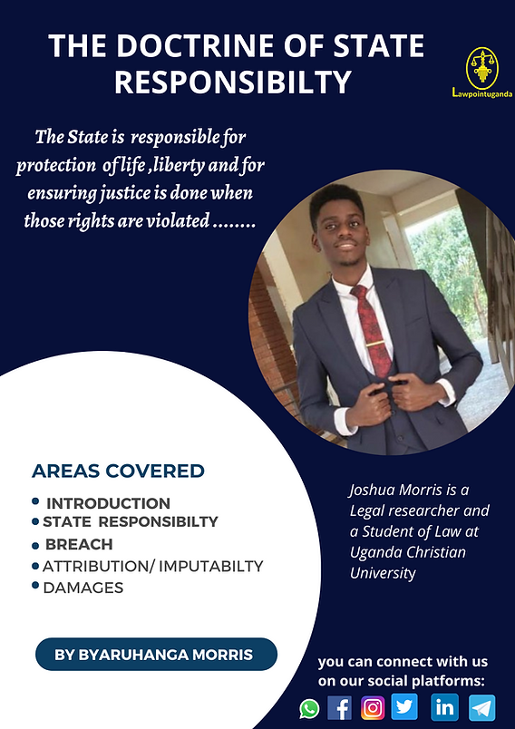 State responsibility doctrine