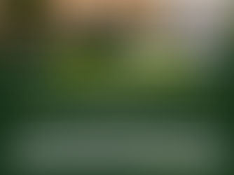 HIGH COURT HAS CLARIFIED THAT TAXATION OF INSTRUCTION FEES SHOULD BE BASED ON THE PLEADINGS, JUDGMENTS, OR SETTLEMENTS AND, WHERE NOT ASCERTAINABLE, SHOULD RELY ON PRINCIPLES OF LEGAL COST ASSESSMENT.