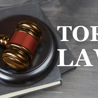 WHAT IS A TORT?