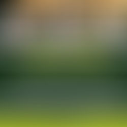 The Court of Appeal of Uganda reaffirms guiding principles on voire dire, voice identification, dying declarations, and sentencing in criminal cases.