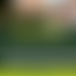 WhatsApp Messages Cannot Amend or Substitute Written Contract Terms, Clarifies the High Court.