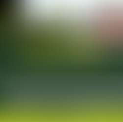 High Court at Mpigi Reaffirms Principles on Kibanja Land Ownership, Proper Use of Locus in Quo in Judicial Proceedings, and When Courts May Deny Costs to Successful Parties