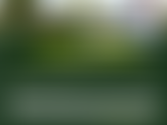 HIGH COURT HAS AFFIRMED THAT STRICT PROOF OF LONG-TERM OCCUPANCY IS REQUIRED TO ESTABLISH A KIBANJA INTEREST – IN A JUDGMENT MERE TEXTUAL SIMILARITIES DO NOT CONSTITUTE JUDICIAL MISCONDUCT