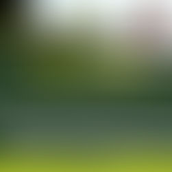 Where an applicant fails to establish a prima facie case for stay, the balance of convenience will ordinarily tip in favour of the successful party to enjoy the fruits of their judgment. Court Rules