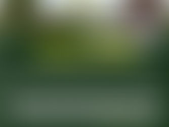 The property of a deceased intestate cannot be directly claimed in court without obtaining letters of administration. Even rightful heirs must pursue succession proceedings, High Court in Kabale Rules