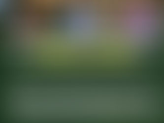 “A successful litigant against the Government can only enforce judgment through a certificate of order, not attachment or execution under Section 38 CPA.” Reaffirms the Court of Appeal of Uganda