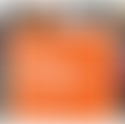 The World Bank Legal Internship Program