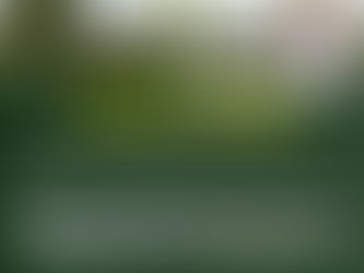 High Court Says Courts Are Not a Shortcut to Parliament and Will Not Be Used to Impose Candidates on the Electorate Without a Ballot-Based Mandate.