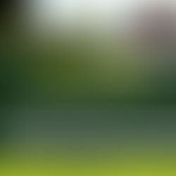 High Court Convicts Man for Rape in Kabale, reinforcing that rape prosecutions must be grounded in both testimonial and medical evidence, with the prosecution bearing the full evidentiary burden.