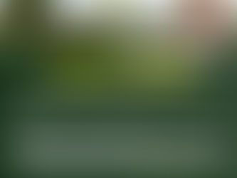 Courts will not interfere with expert valuations in matrimonial or property disputes absent of a “manifest error”: High Court at Wakiso overrules application for review of valuation report.