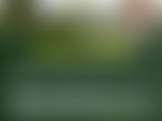 Courts will not interfere with expert valuations in matrimonial or property disputes absent of a “manifest error”: High Court at Wakiso overrules application for review of valuation report.