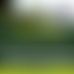 High Court Affirms that While Written Spousal Consent Is Required for Land Transactions, Proprietary Estoppel May Arise Where a Spouse Participates in or Benefits From the Transaction Even Without It