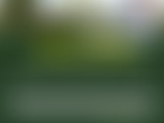 High Court Affirms that While Written Spousal Consent Is Required for Land Transactions, Proprietary Estoppel May Arise Where a Spouse Participates in or Benefits From the Transaction Even Without It