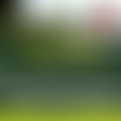 Suing a Deceased Person Renders Proceedings a Nullity, High Court at Wakiso Rules.