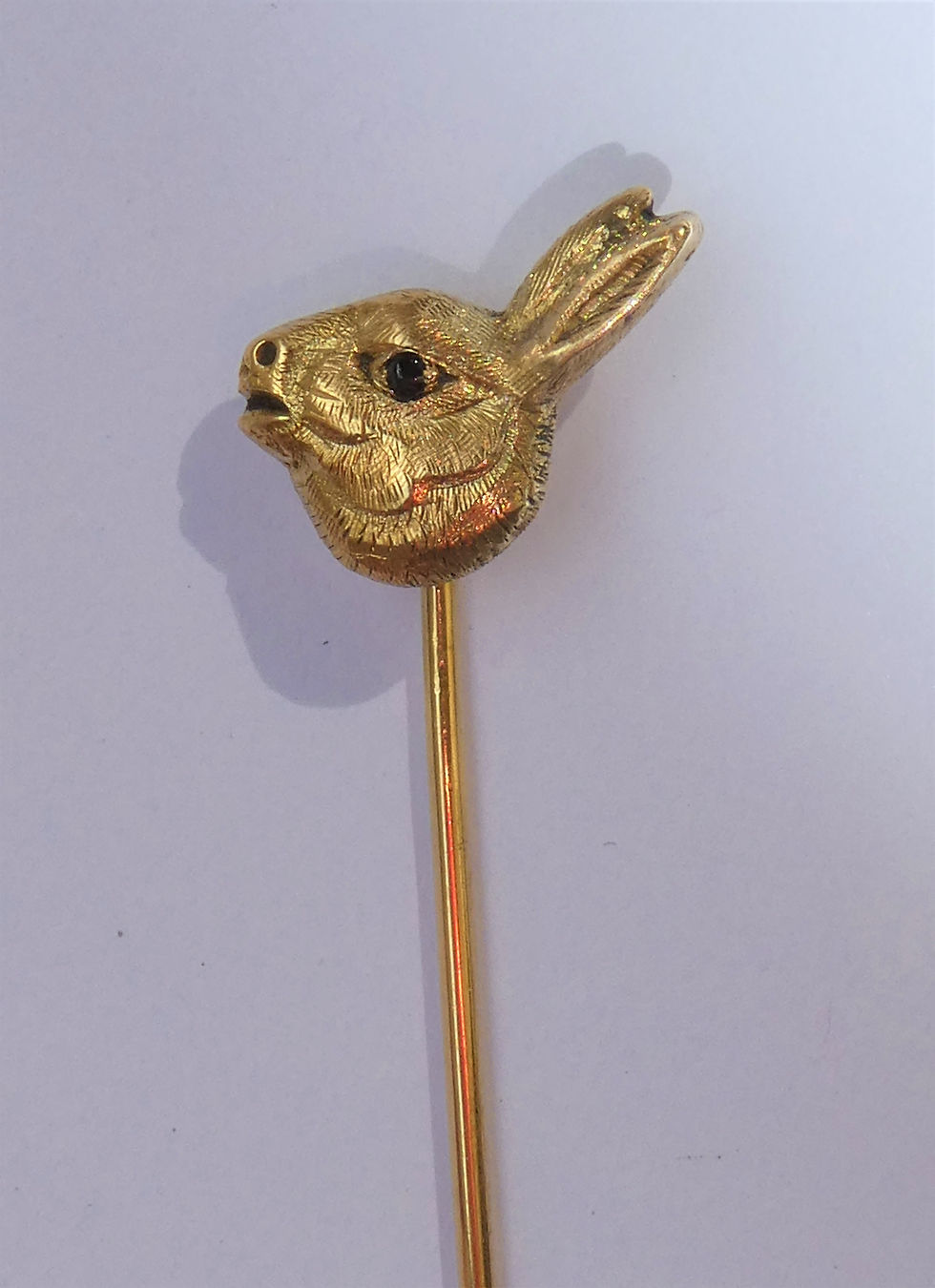 Hasenkopf / rabbit´s head