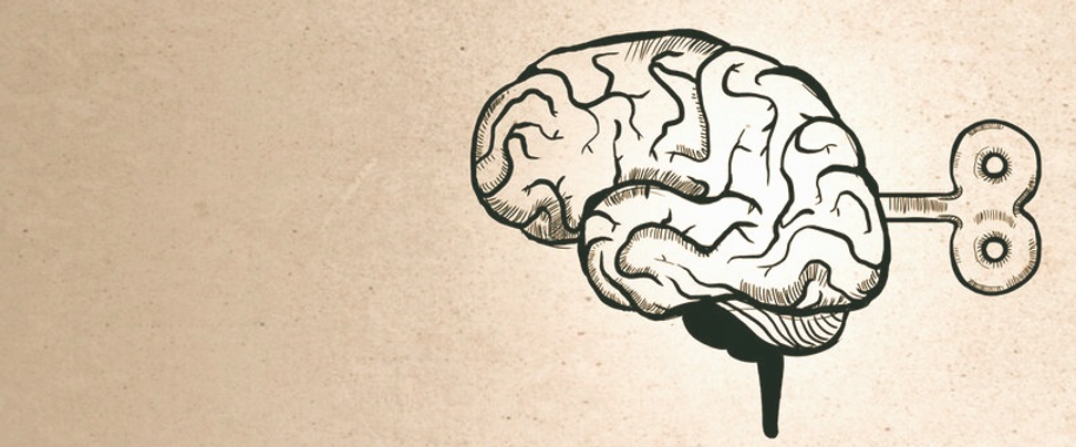 Brain w Key_edited_edited.png