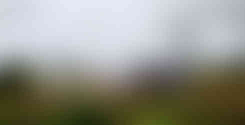 Fog and Prayer Flags in Nepal