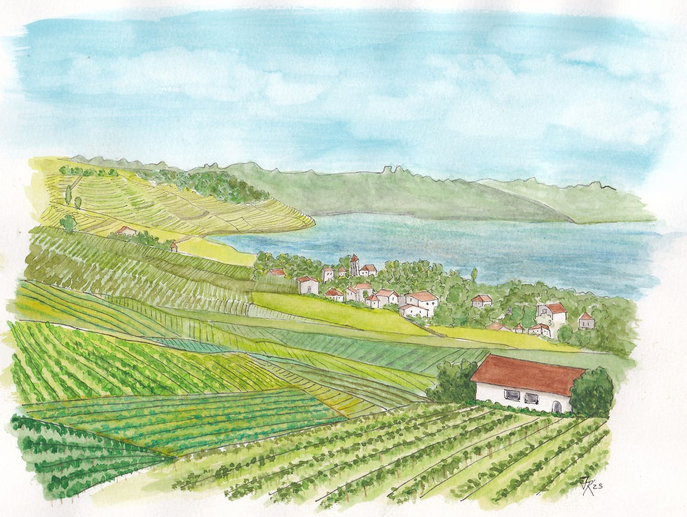 Wed view ink jpg.jpeg