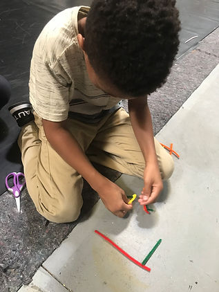 Work on classification and making animal