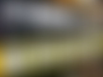 Unser neues Platzbelegungs-System