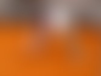 Blinden- und Rollstuhltennis - Tennisclub Ditzingen veranstaltet einen Workshop für den Trainerstab