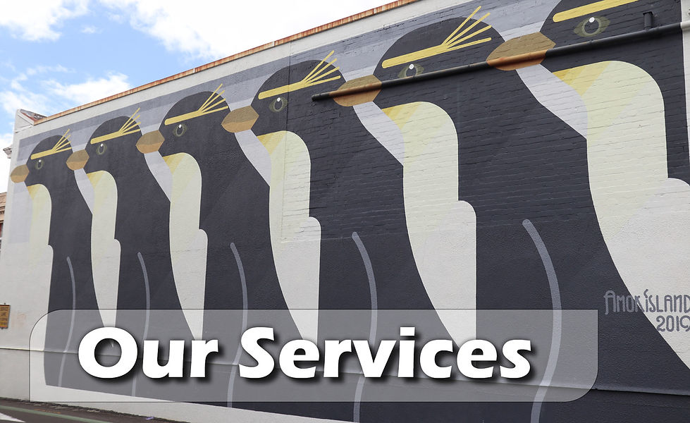 Our Services Splash.jpg