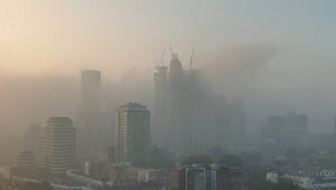 fog2021.jpeg