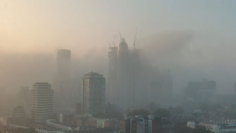 fog2021.jpeg