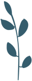 Folhas_2_edited.png