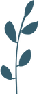 Folhas_2.png