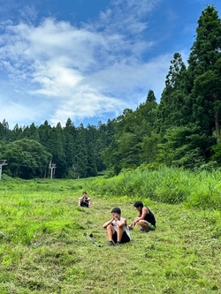 スキー場ポールラン