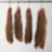 Biltong