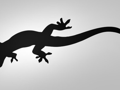 The Lizard