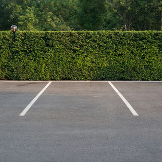 Empty parking lot with foliage wall in the background
