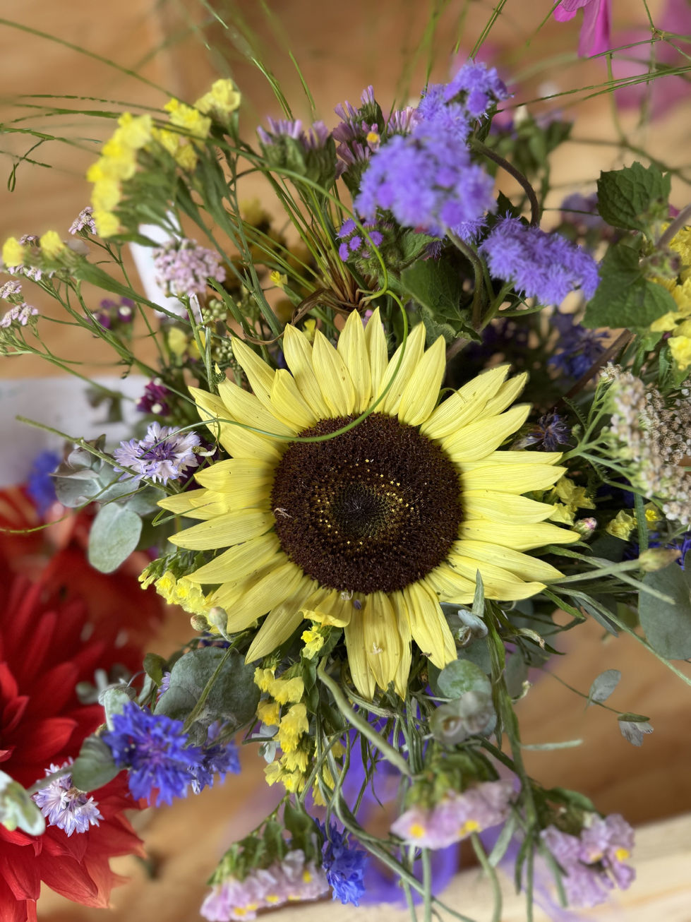 Sunflowers 3