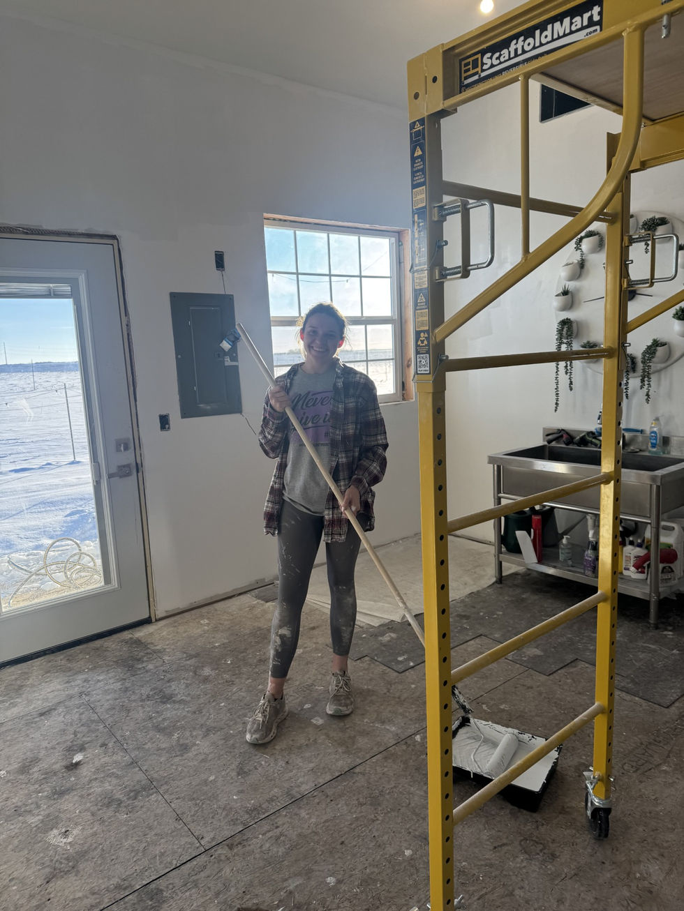 Priming 1