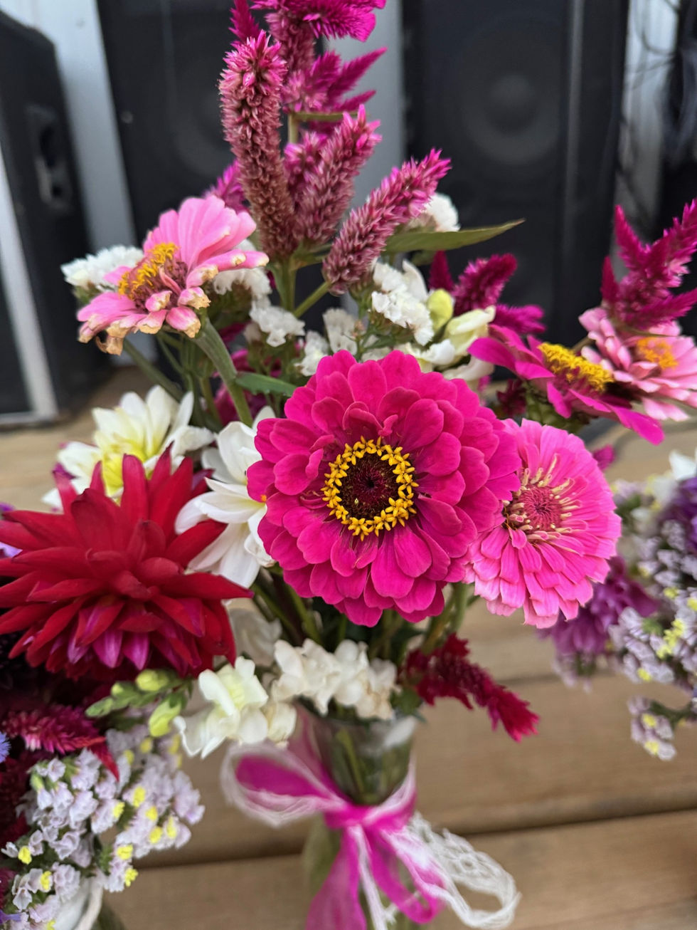 Zinnias and Dahlias