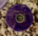 Acai Berry moisturizing purple toning conditioner bar