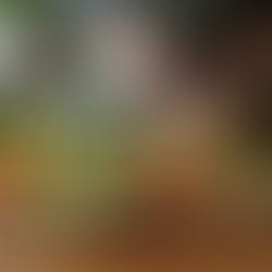 Creating a healthy and balanced meal