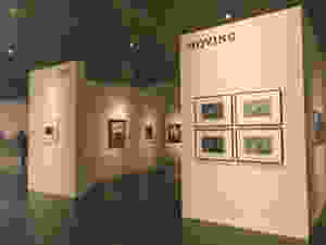 展示の様子